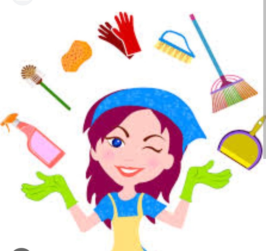 Diana Clean professional 