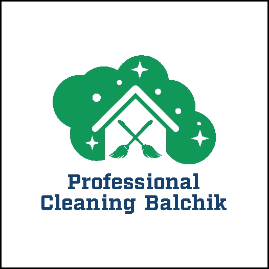 Professional Cleaning Balchik 