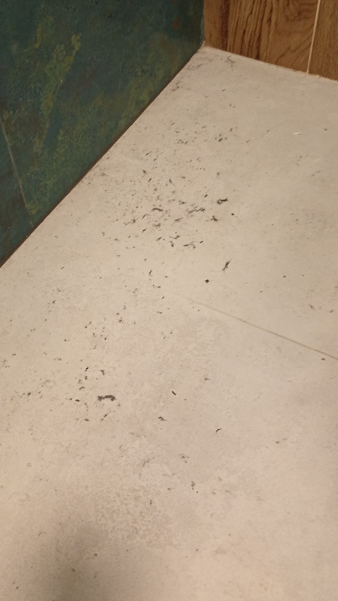 Before photo for Основно почистване