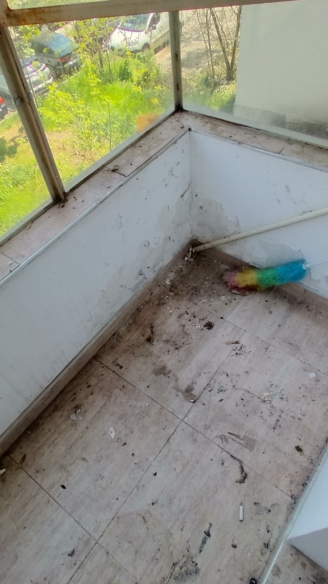 Before photo for Основно почистване