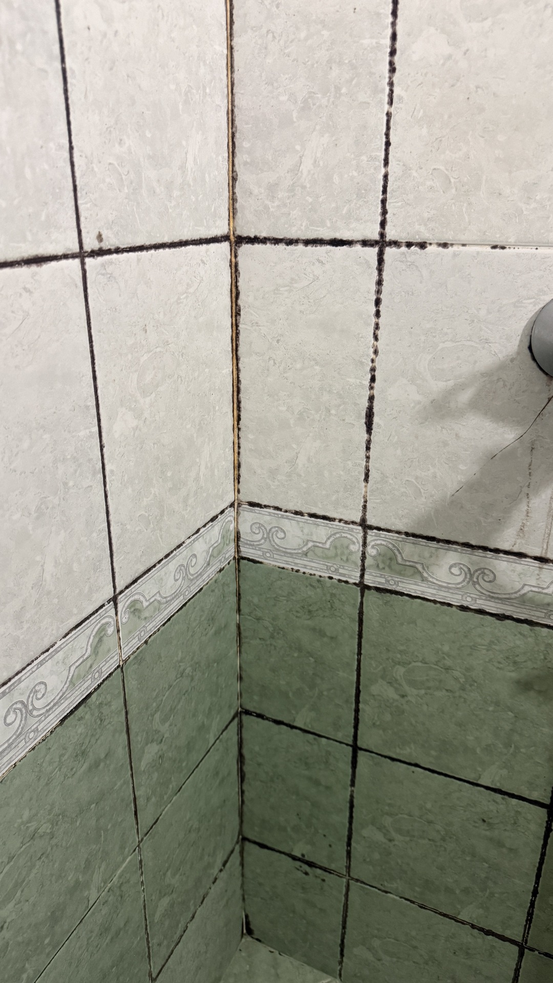 Before photo for Основно почистване