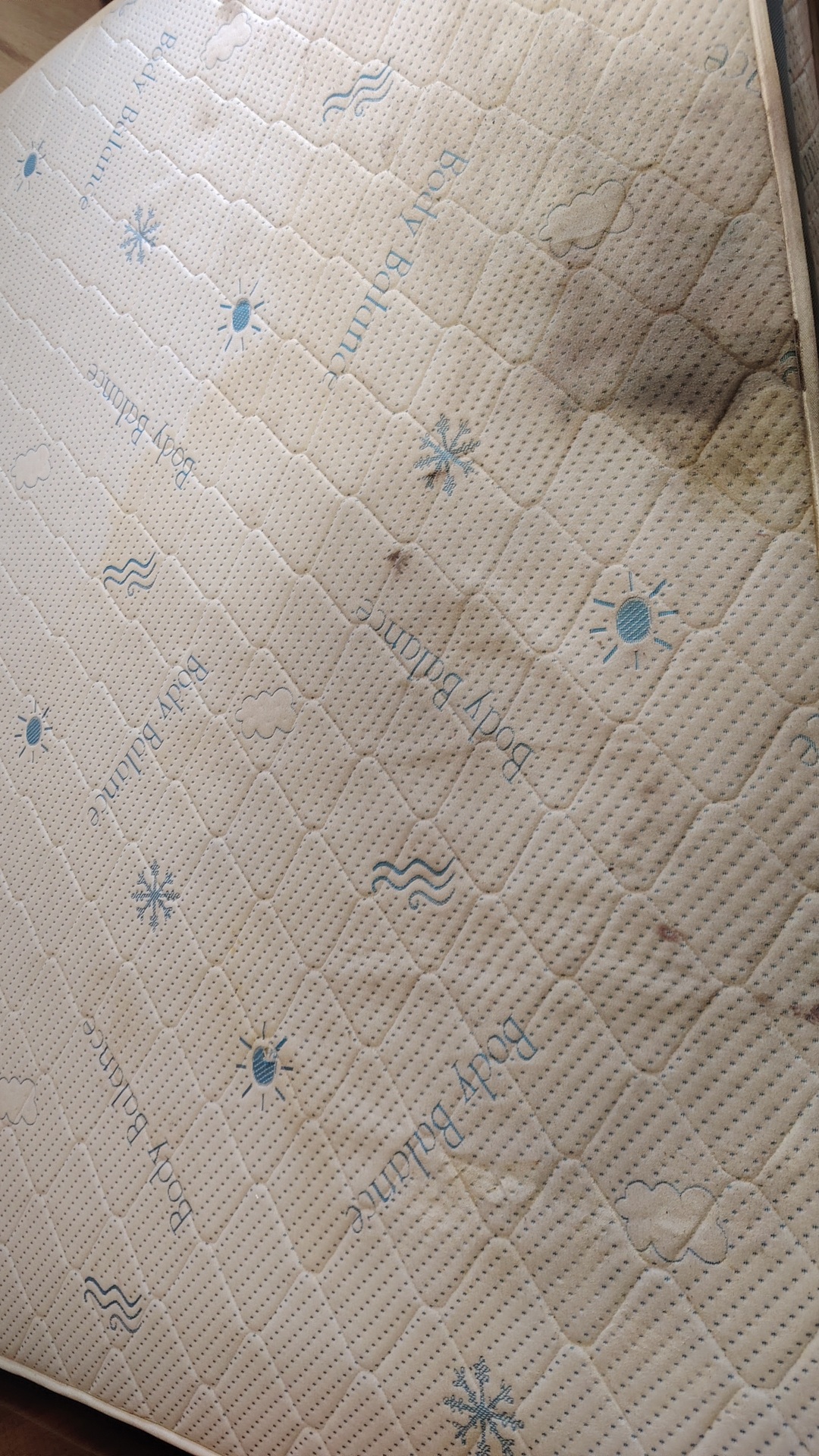 Before photo for Upholstery & Carpet Cleaning