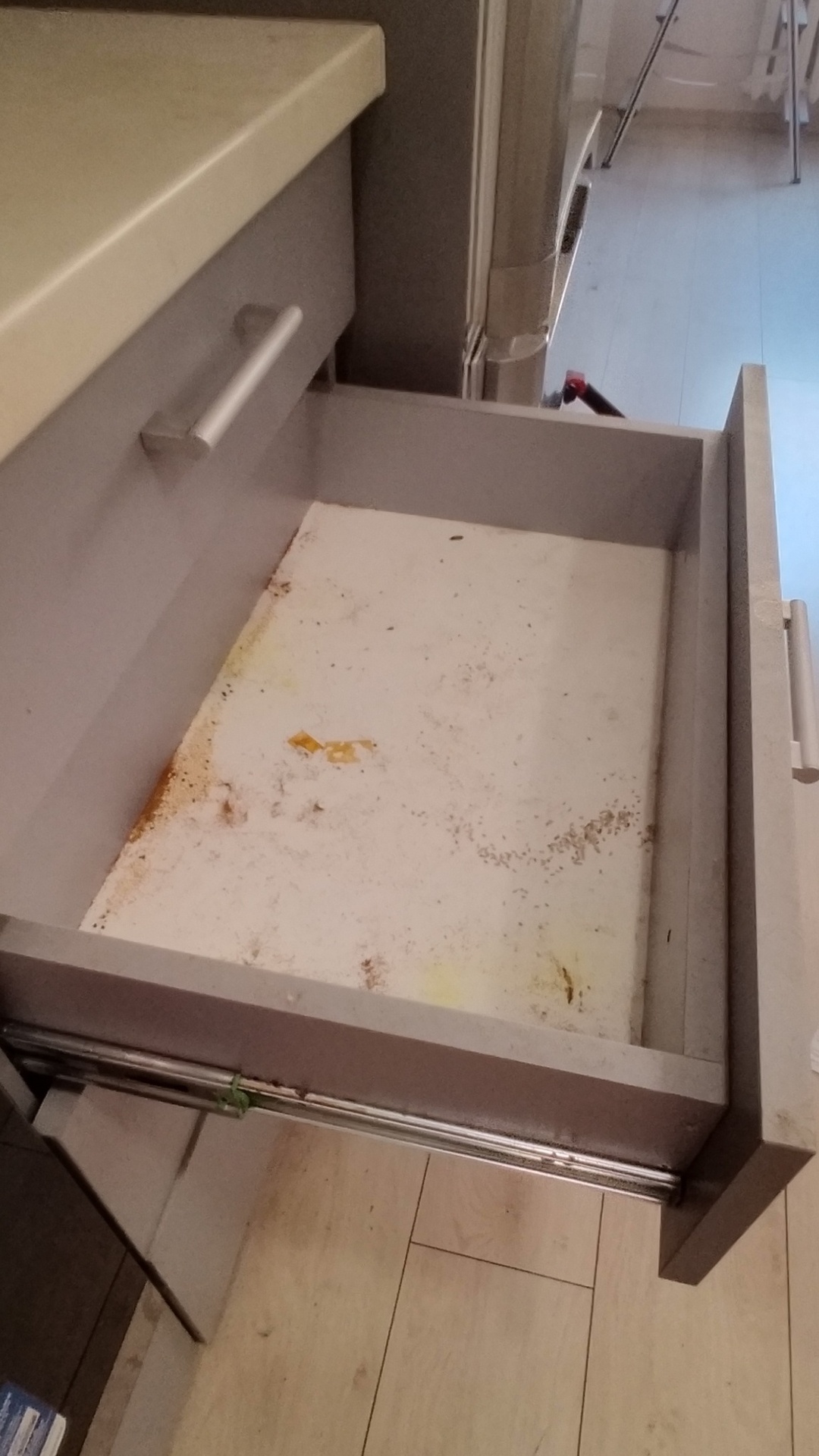 Before photo for Основно почистване