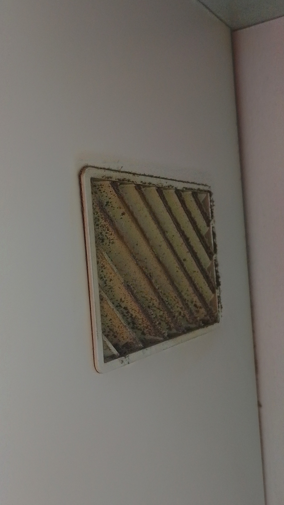 Before photo for Почистване преди/след наематели