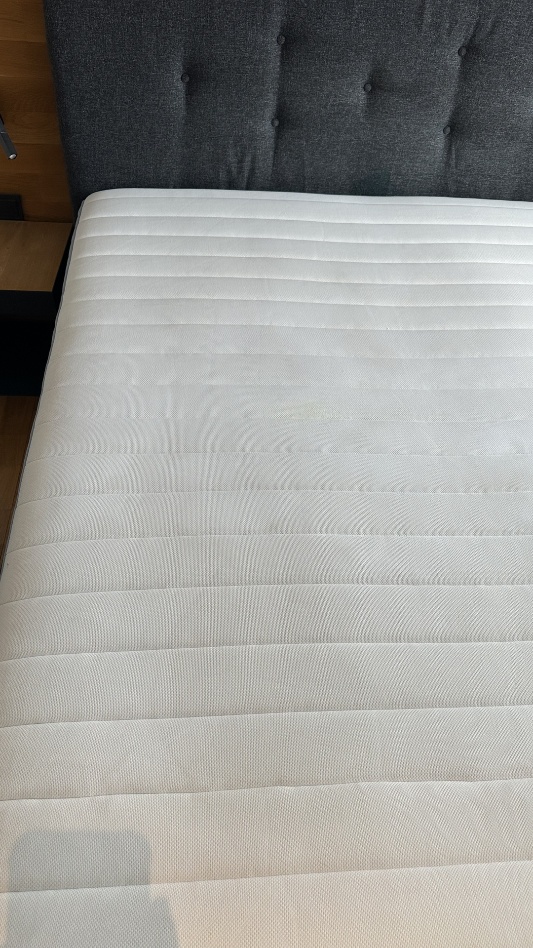 After photo for Upholstery & Carpet Cleaning