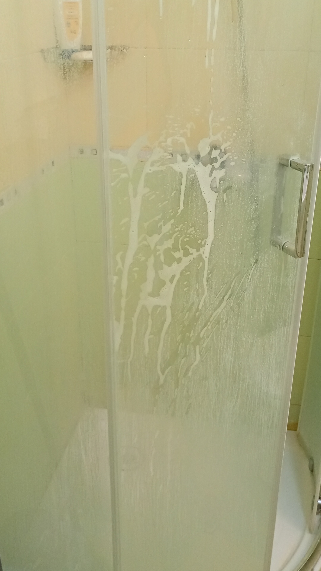 Before photo for Deep Cleaning