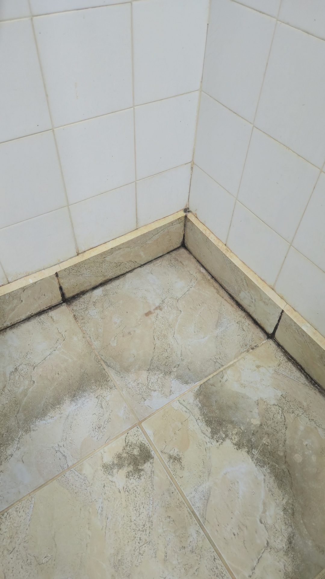 Before photo for Почистване на баня