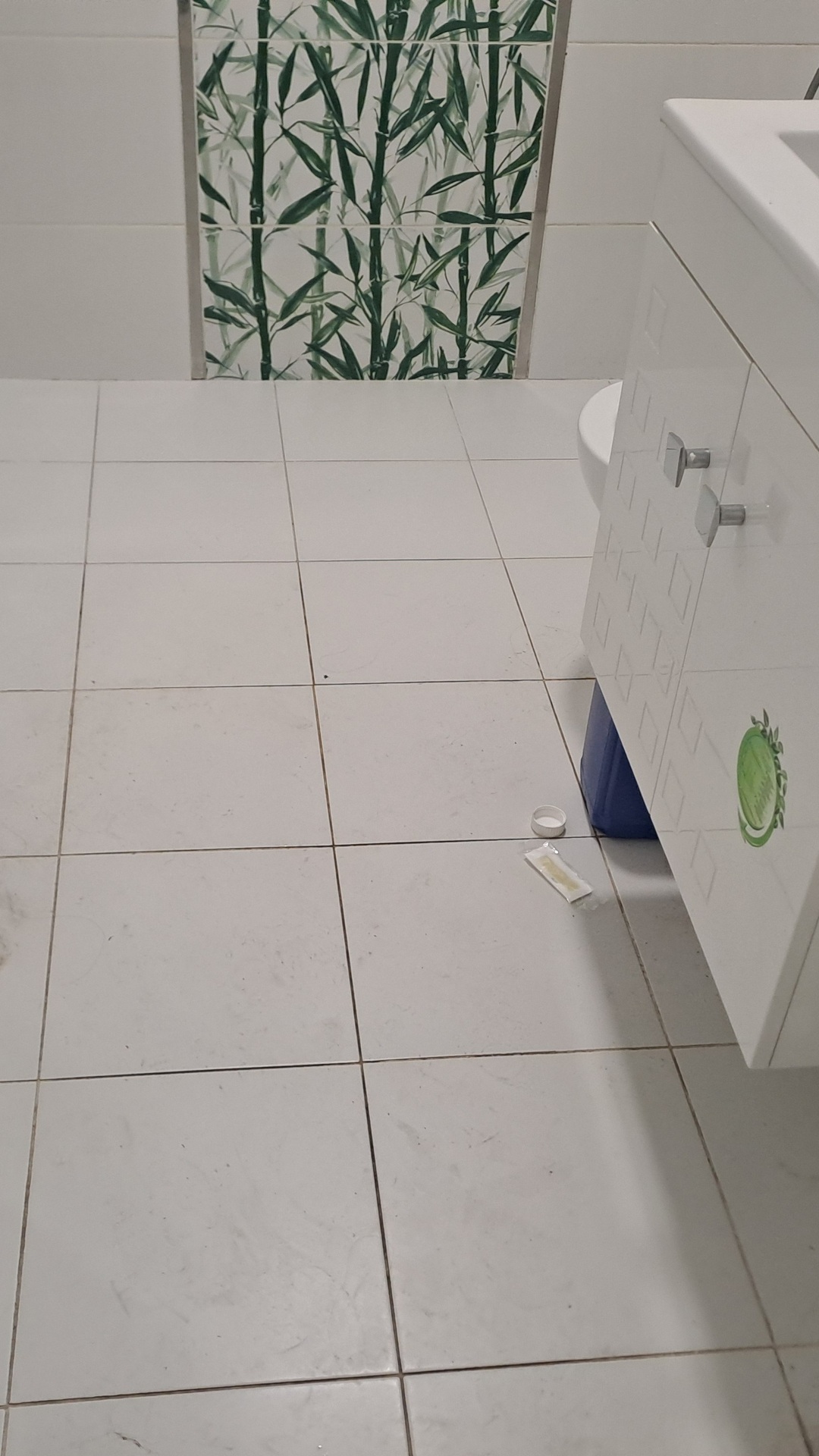 Before photo for Почистване на баня