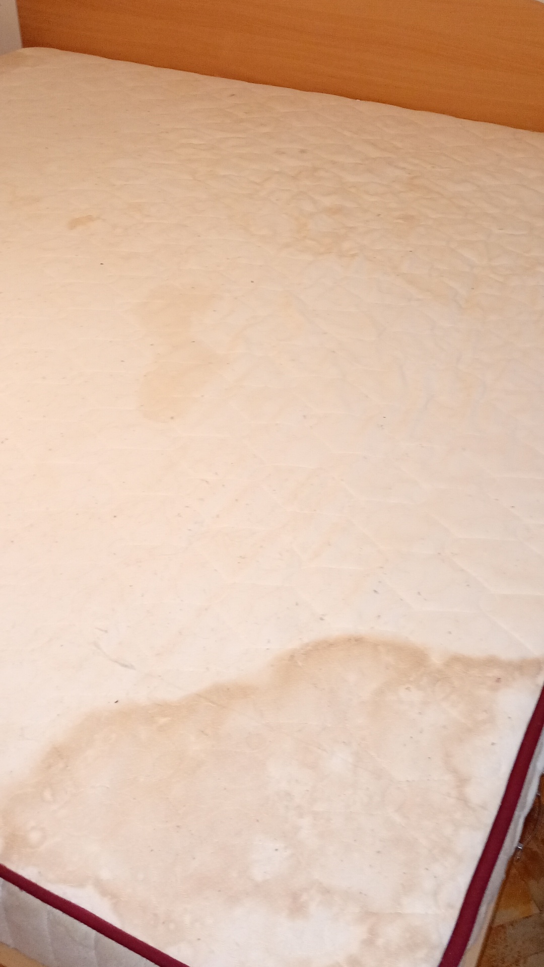 Before photo for Upholstery & Carpet Cleaning