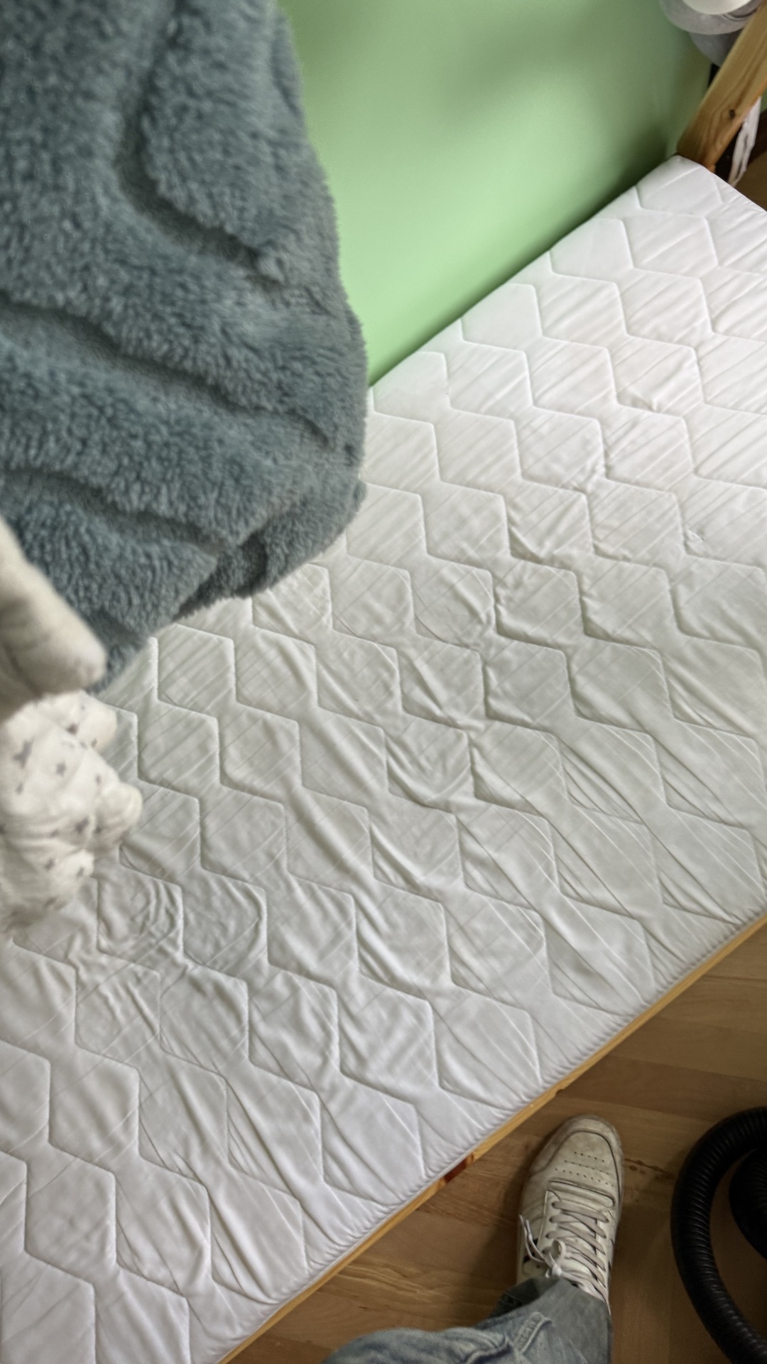 After photo for Upholstery Cleaning