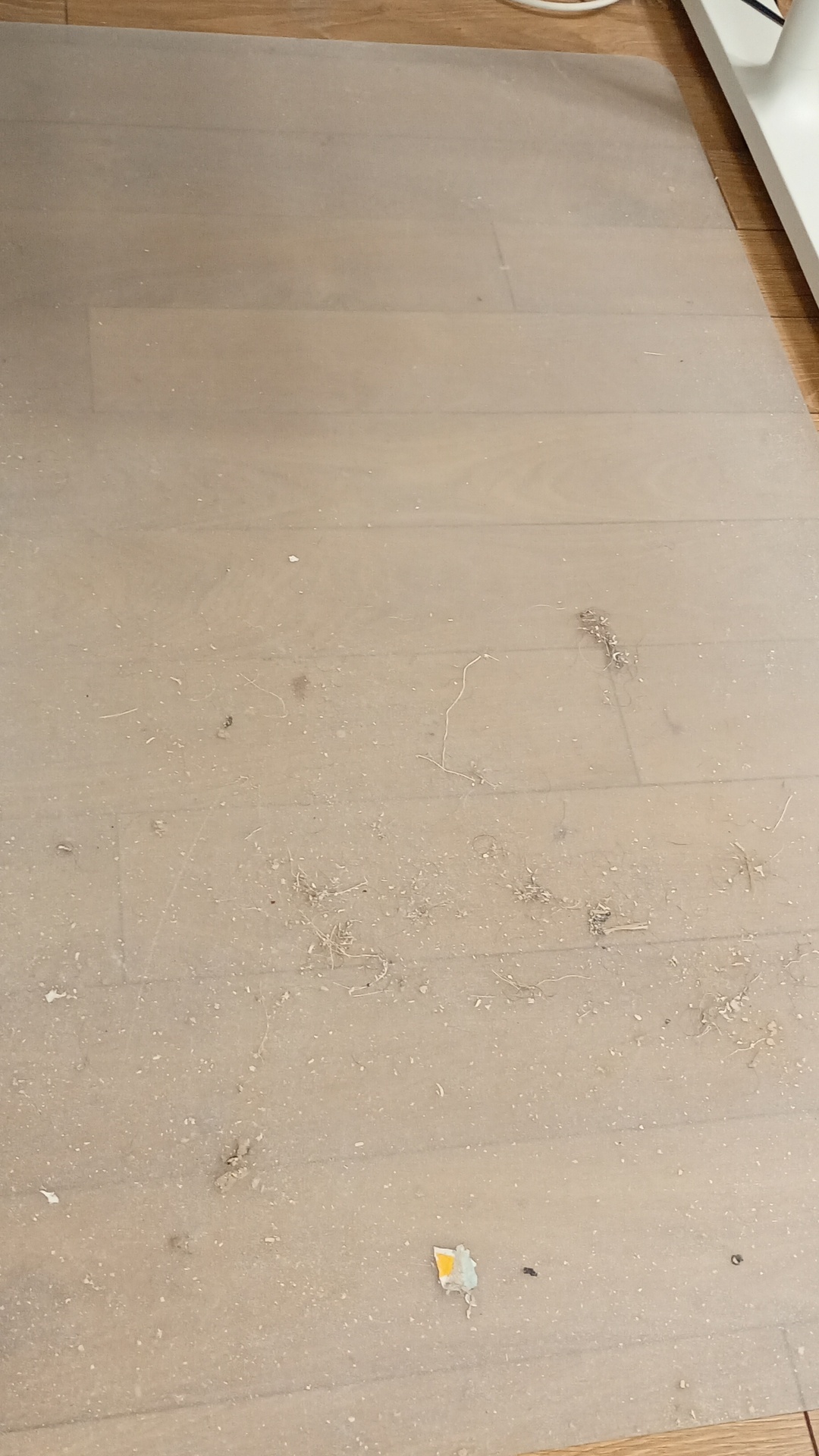 Before photo for Deep Cleaning