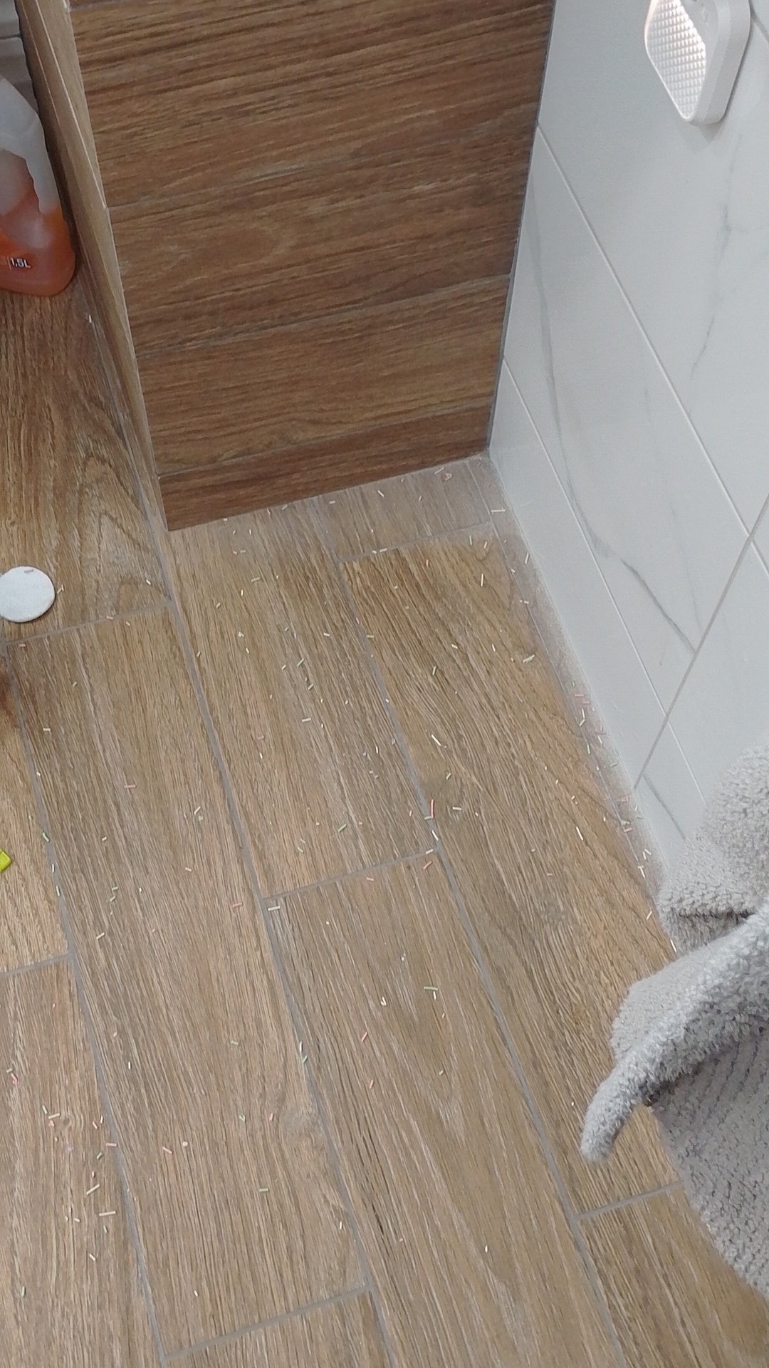 Before photo for Deep Cleaning