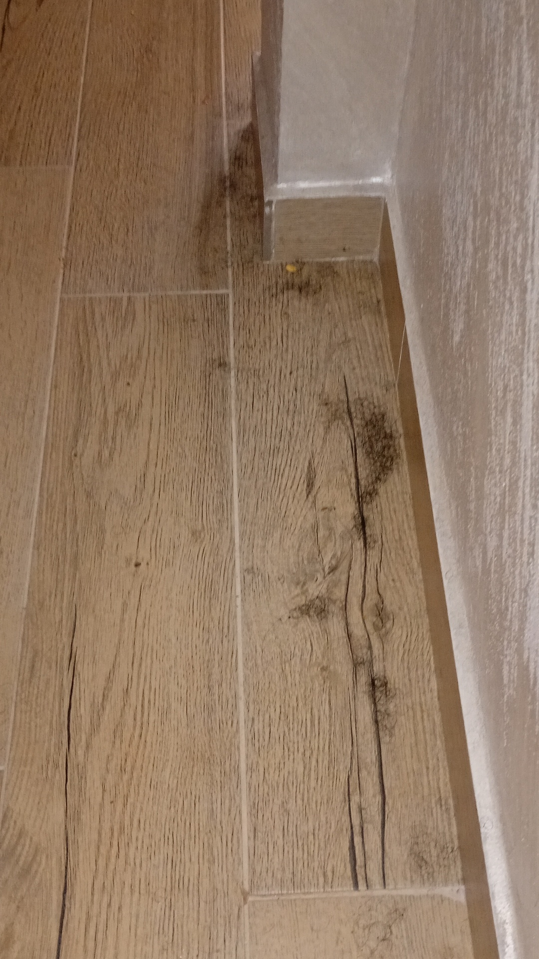 Before photo for Почистване преди/след наематели