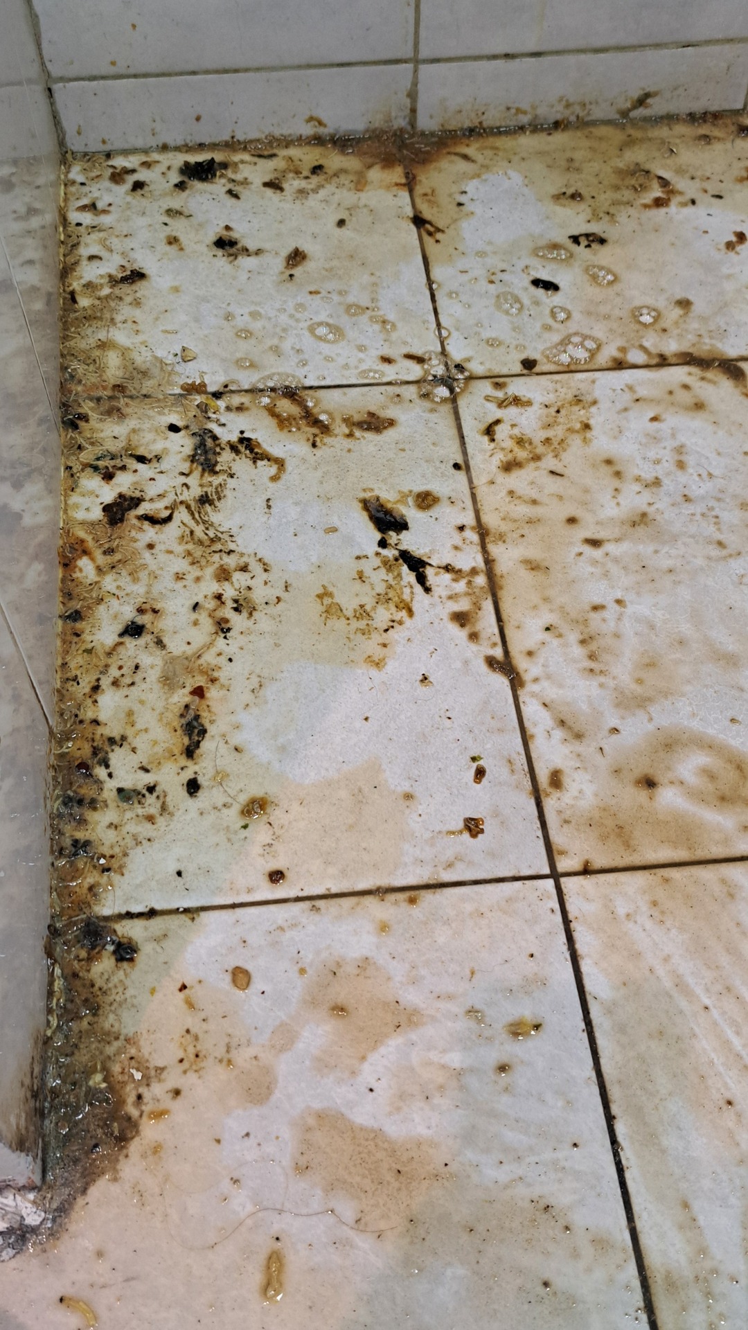 Before photo for Почистване преди/след наематели