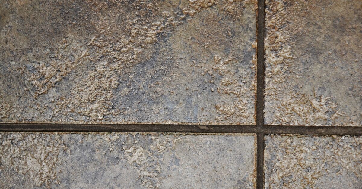 Dirty grout and limescale buildup on tiles
