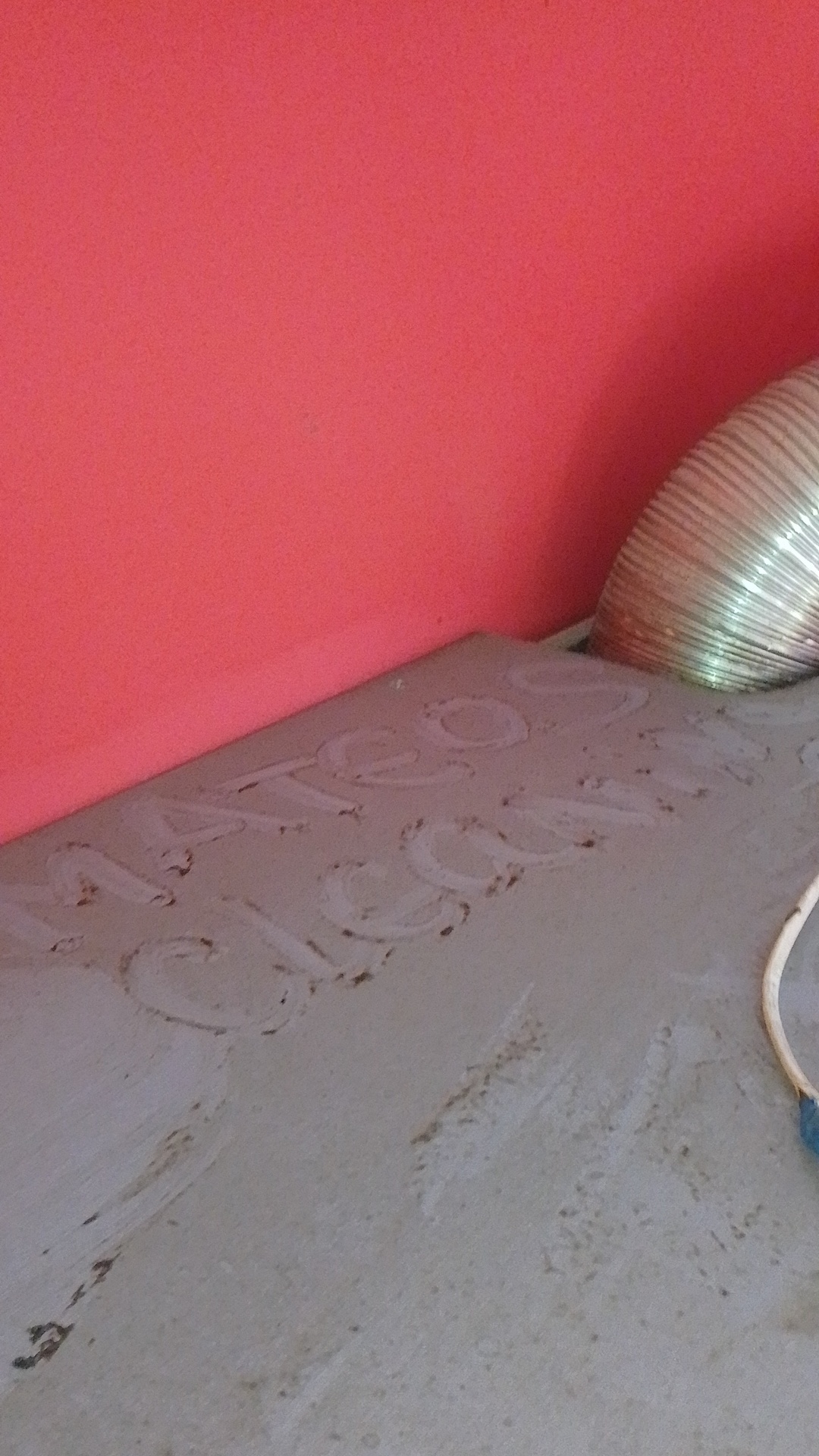 Before photo for Почистване преди/след наематели