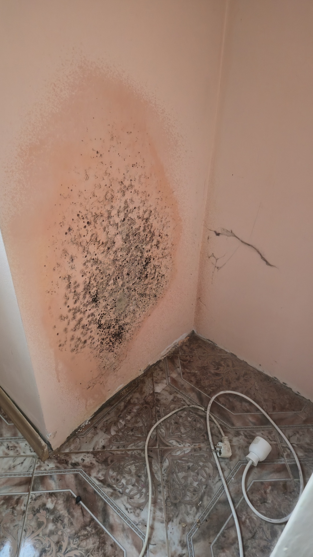 Before photo for Bathroom Cleaning