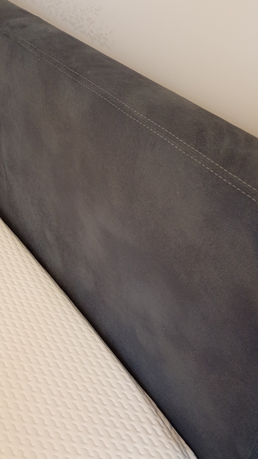 Before photo for Upholstery & Carpet Cleaning