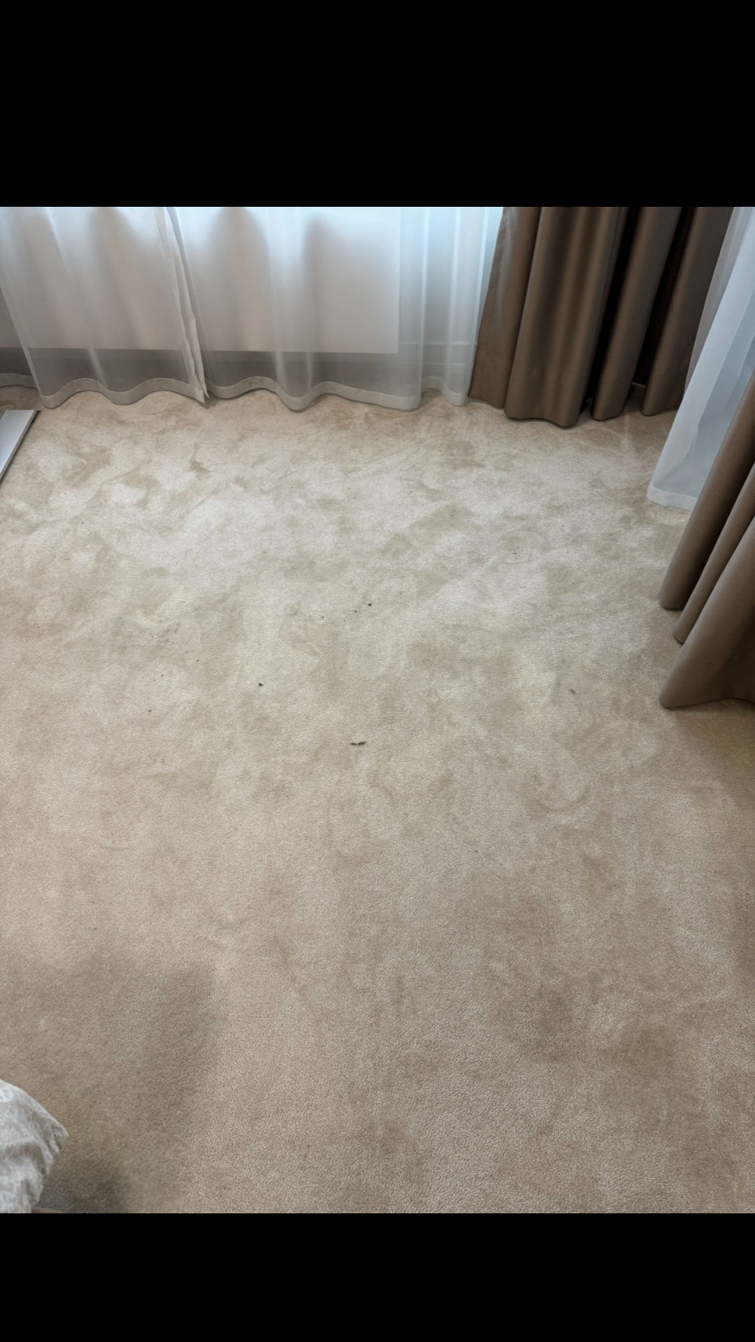 Before photo for Upholstery & Carpet Cleaning