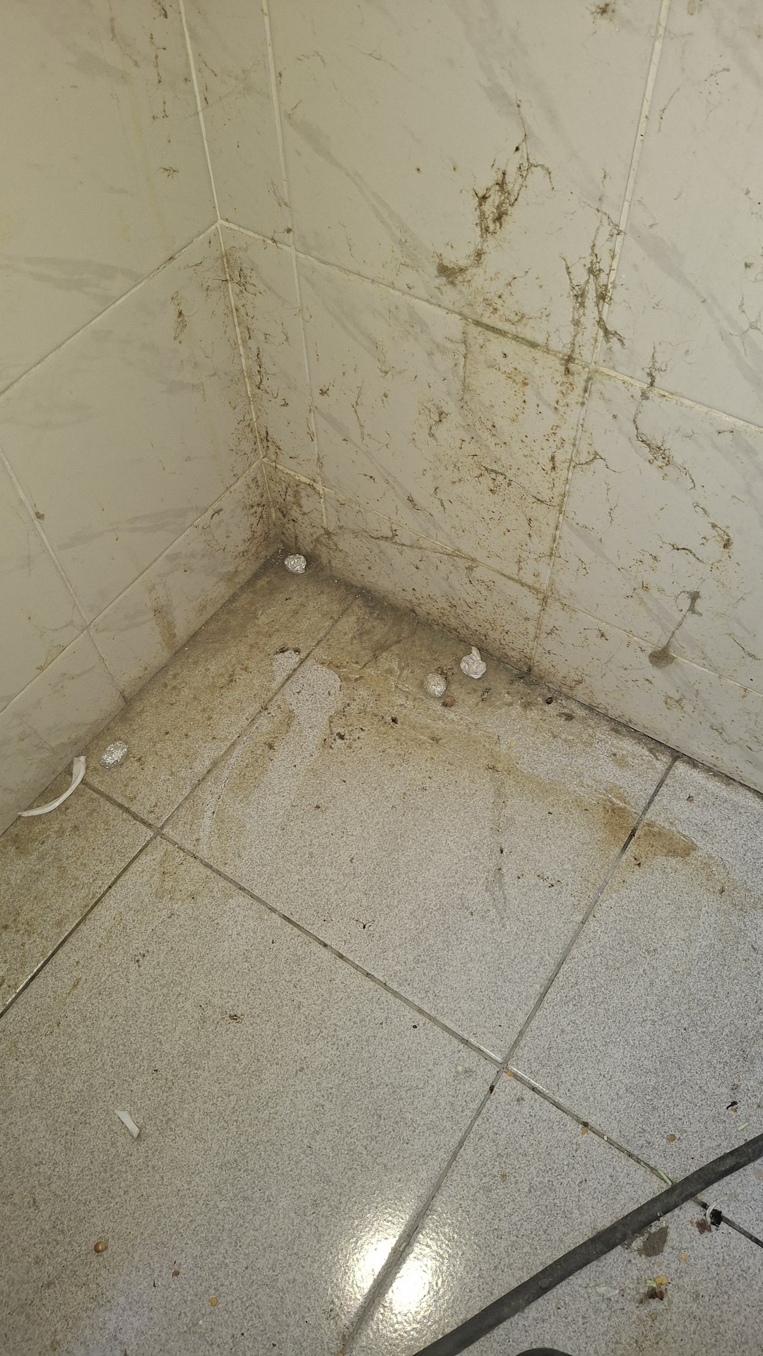 Before photo for Deep Cleaning