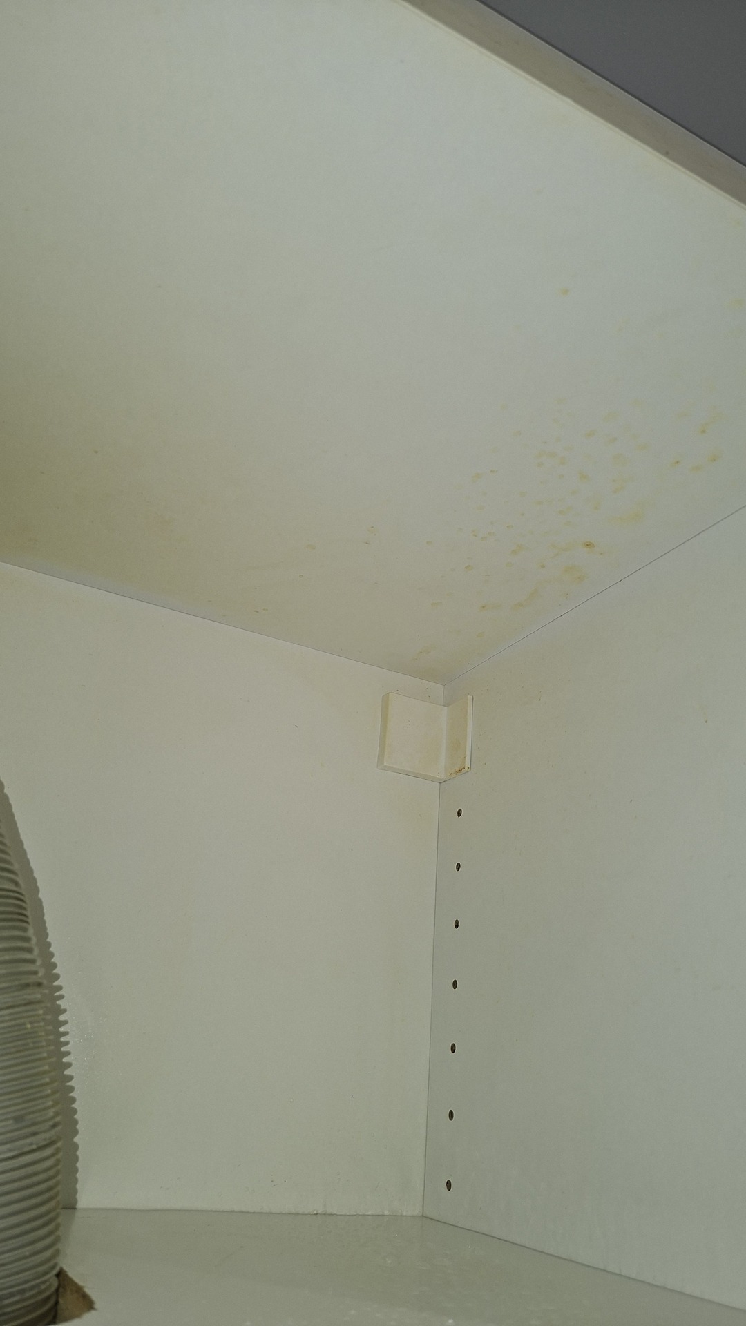 Before photo for Основно почистване