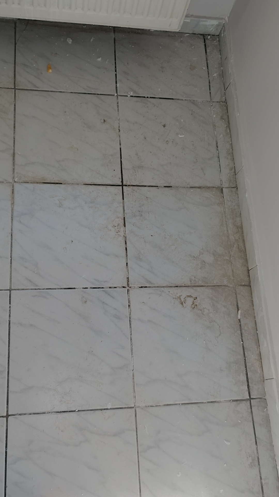 Before photo for Основно почистване