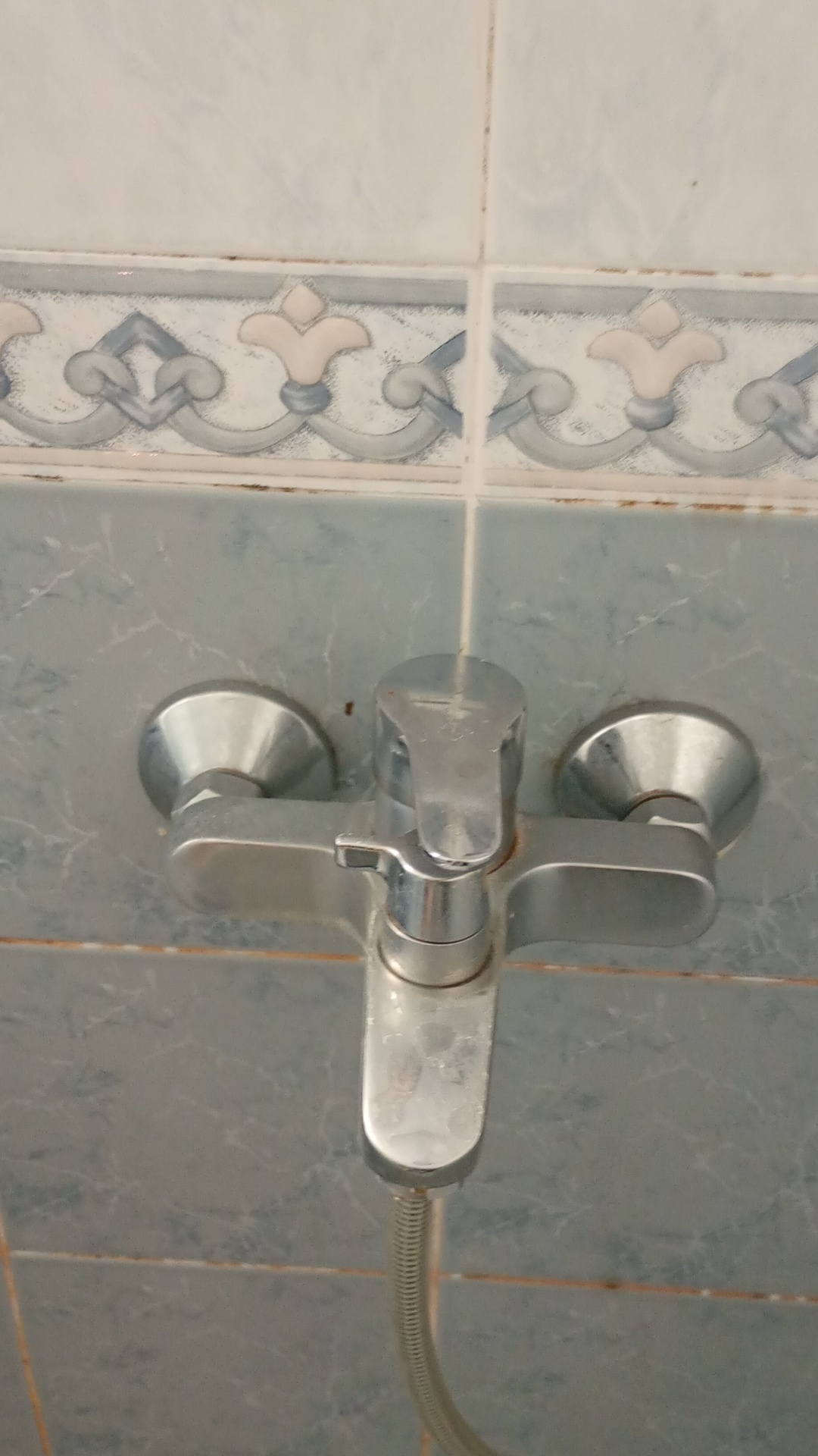 Before photo for Deep Cleaning