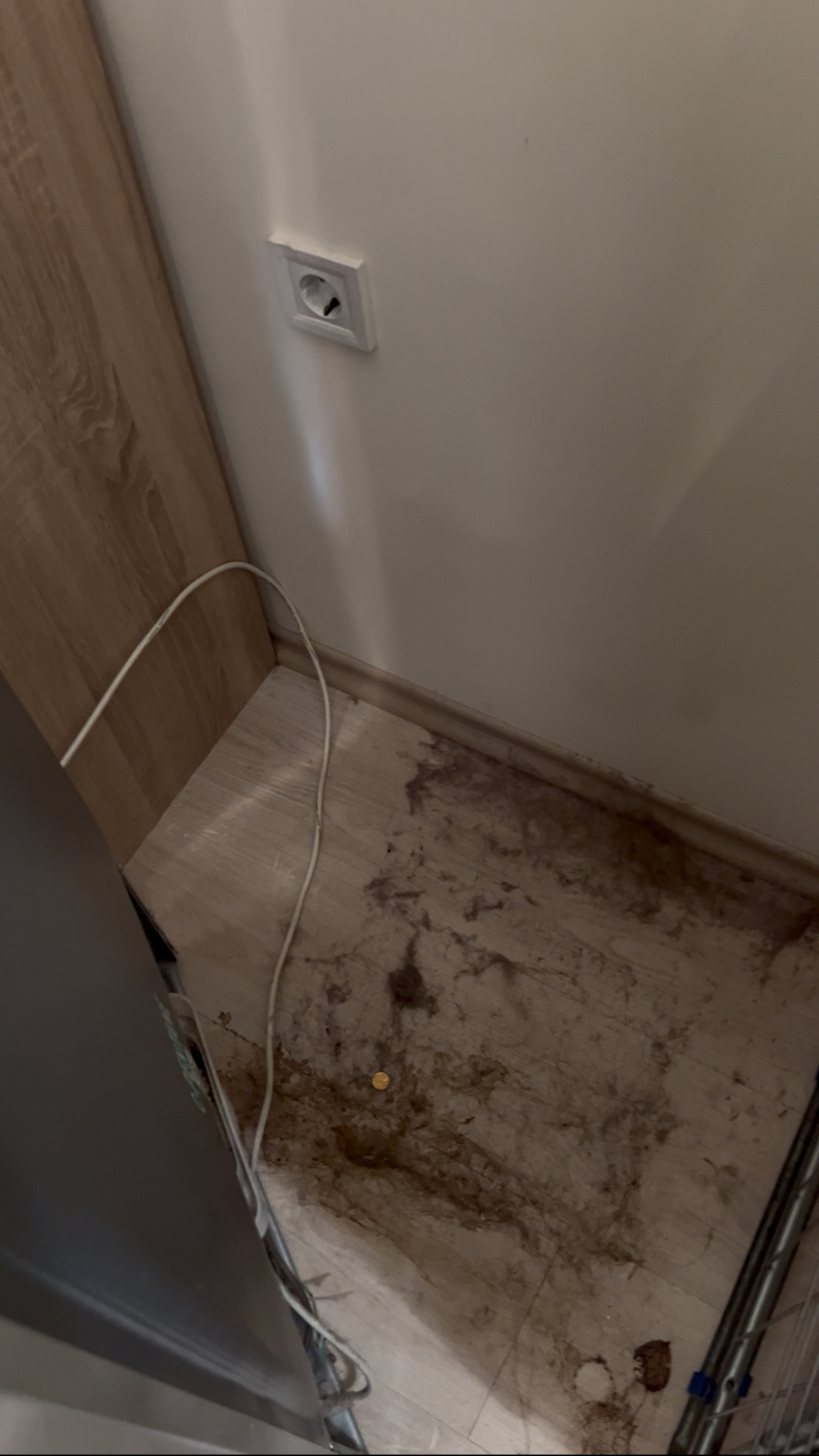 Before photo for Deep Cleaning