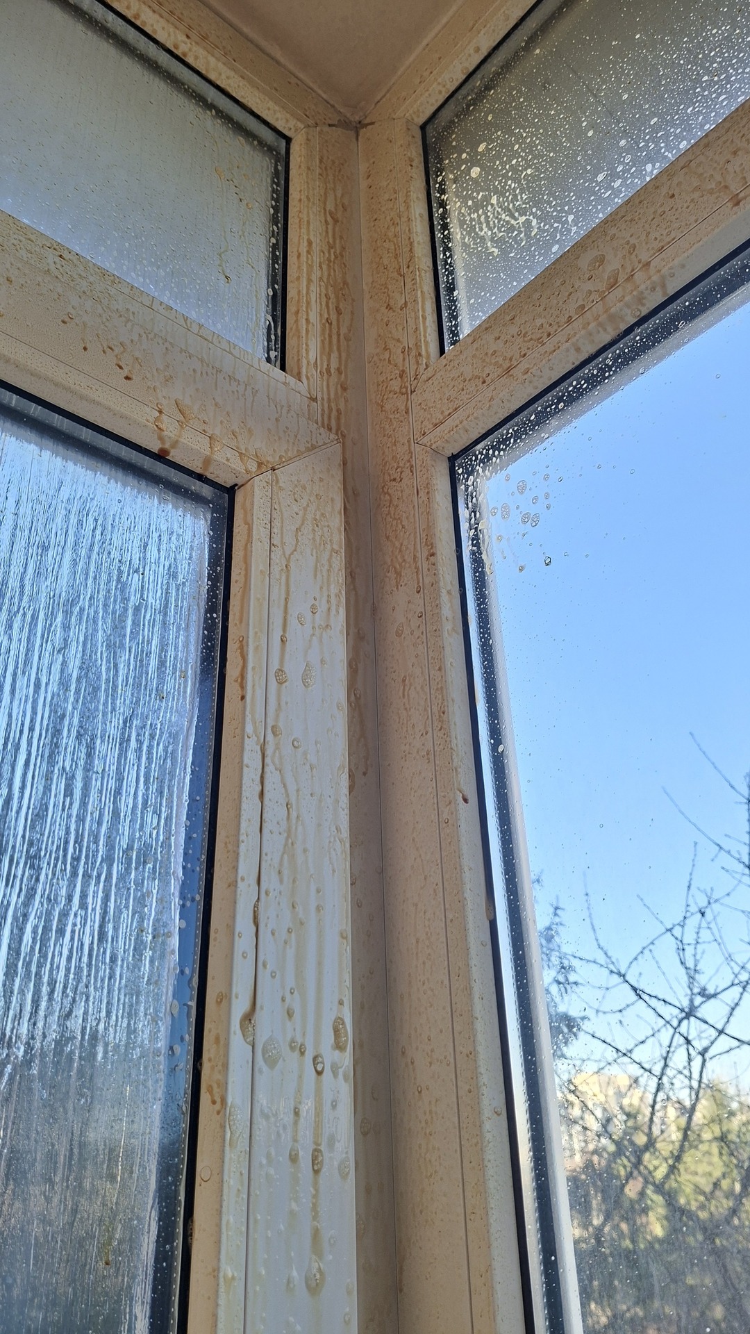 Before photo for Основно почистване