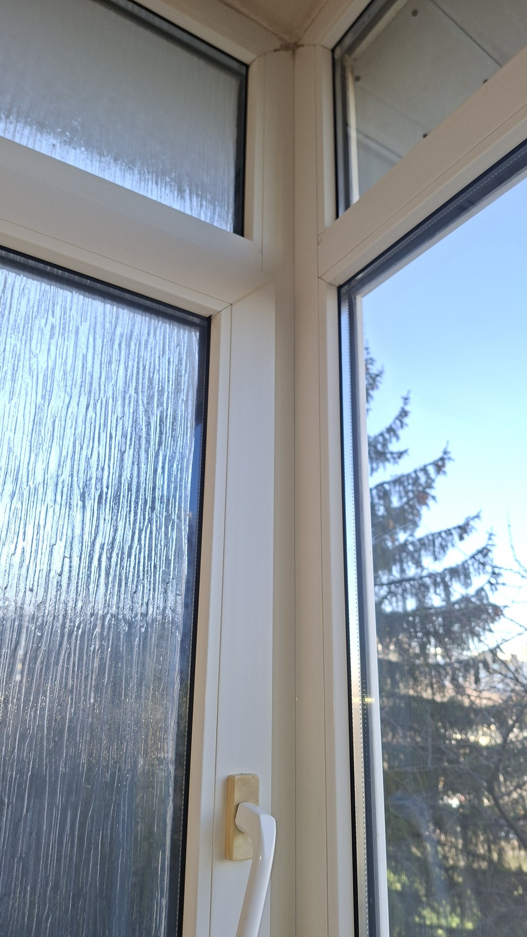 After photo for Основно почистване