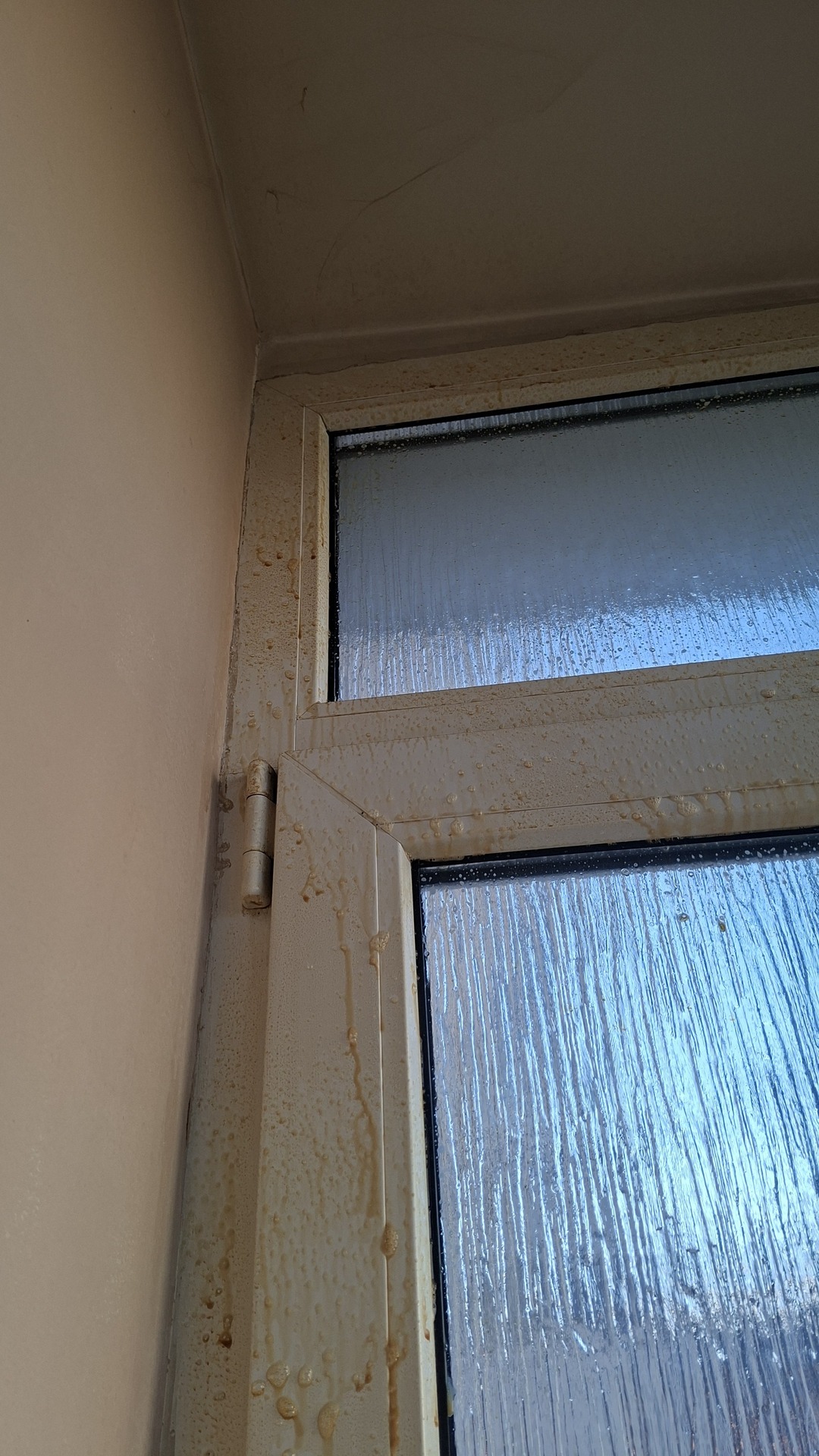 Before photo for Основно почистване