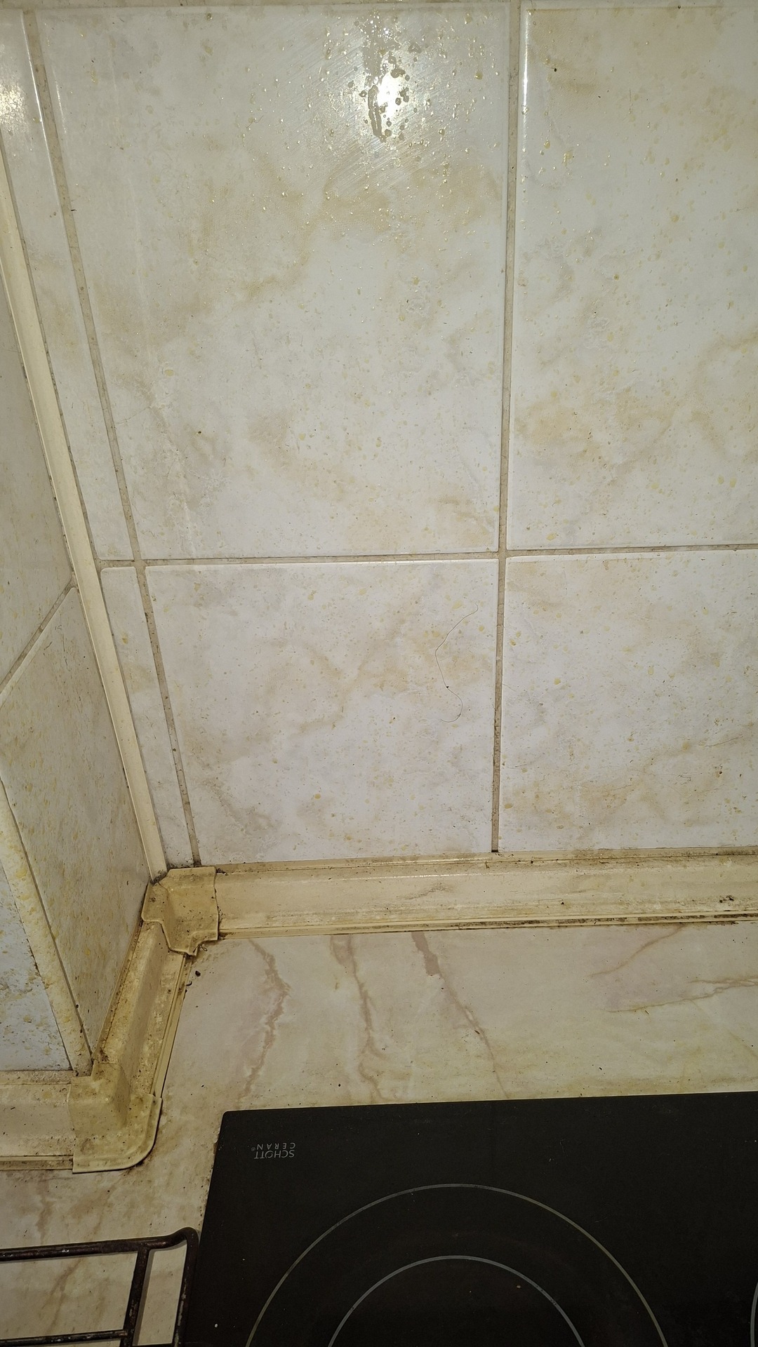 Before photo for Deep Cleaning