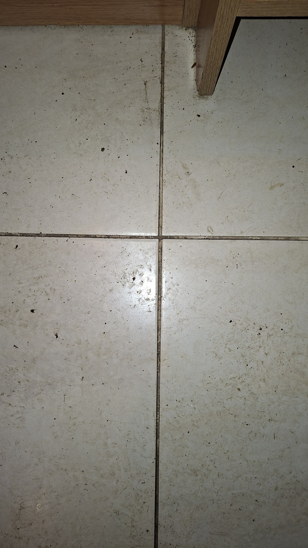Before photo for Основно почистване