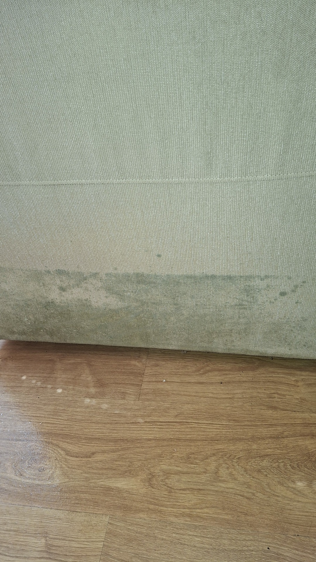 Before photo for Upholstery Cleaning