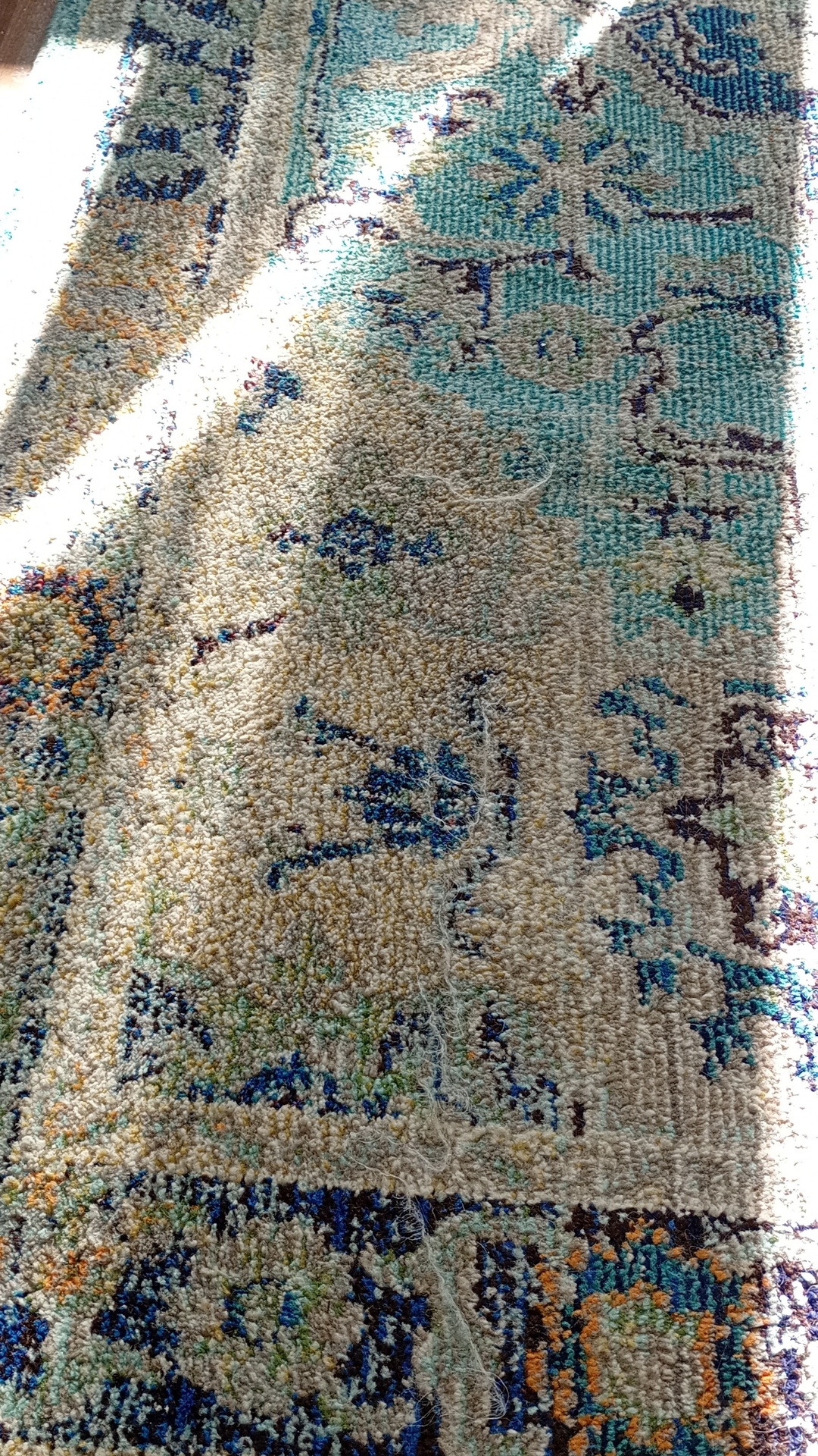 Before photo for Upholstery & Carpet Cleaning