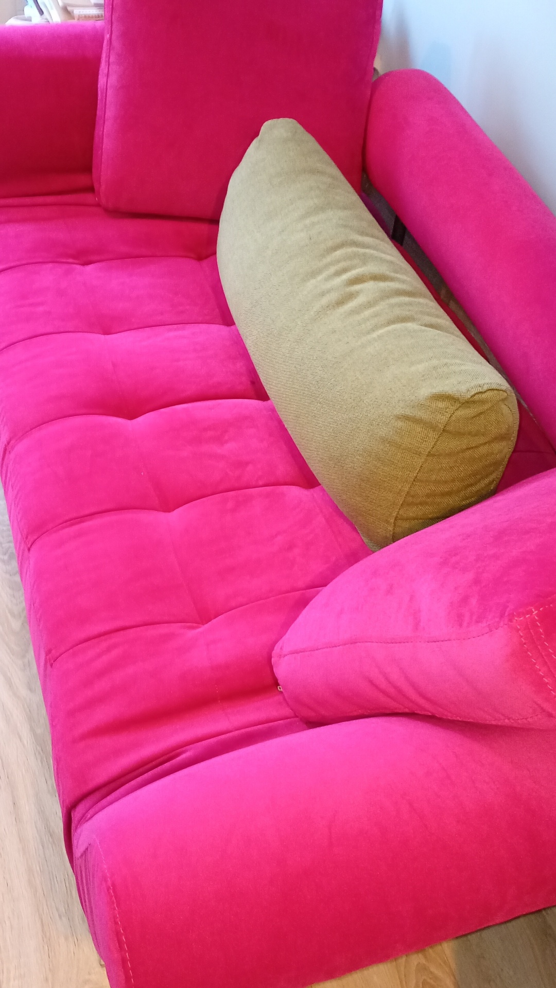 Before photo for Upholstery & Carpet Cleaning