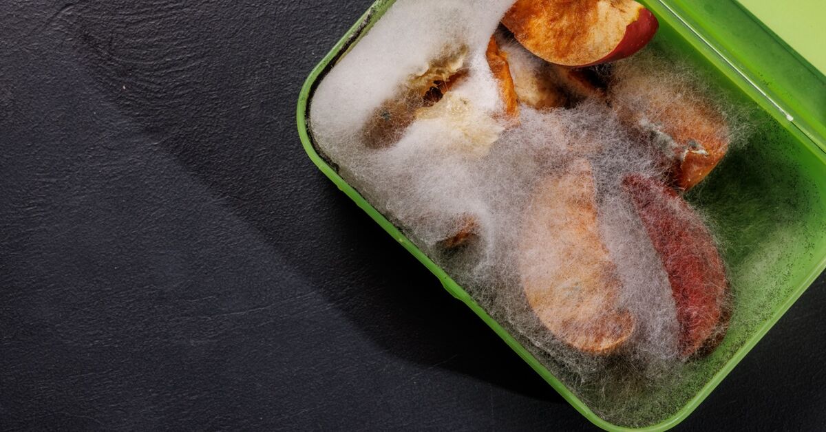 Moldy food in a container