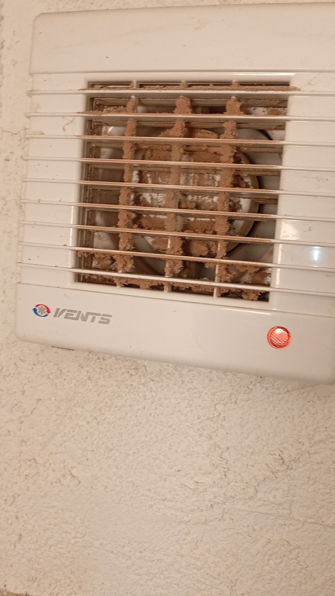 Before photo for Почистване преди/след наематели