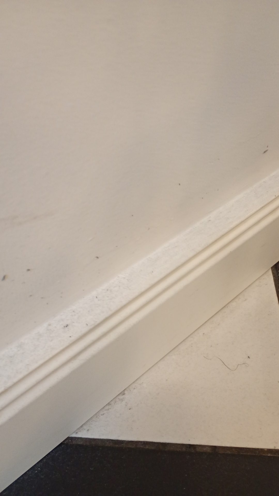 Before photo for Deep Cleaning