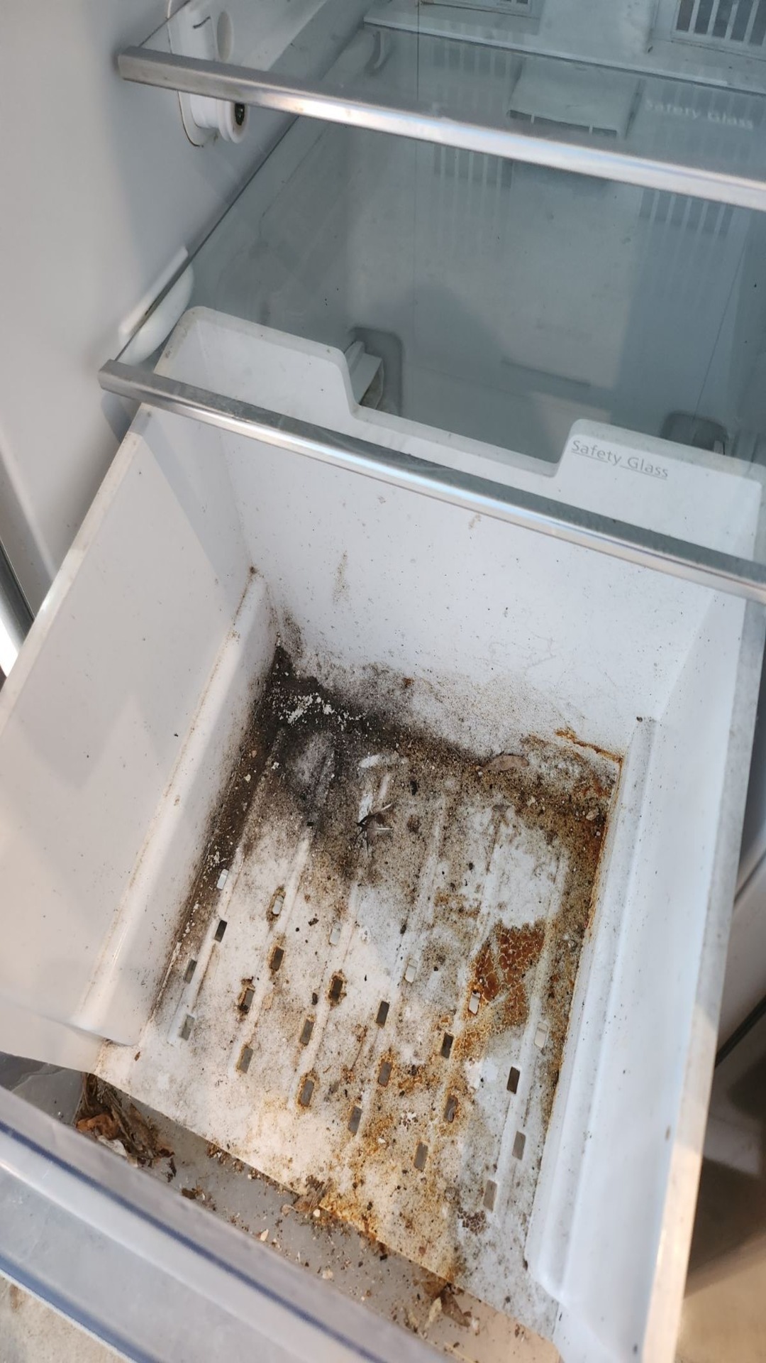 Before photo for Почистване на фурна и хладилник