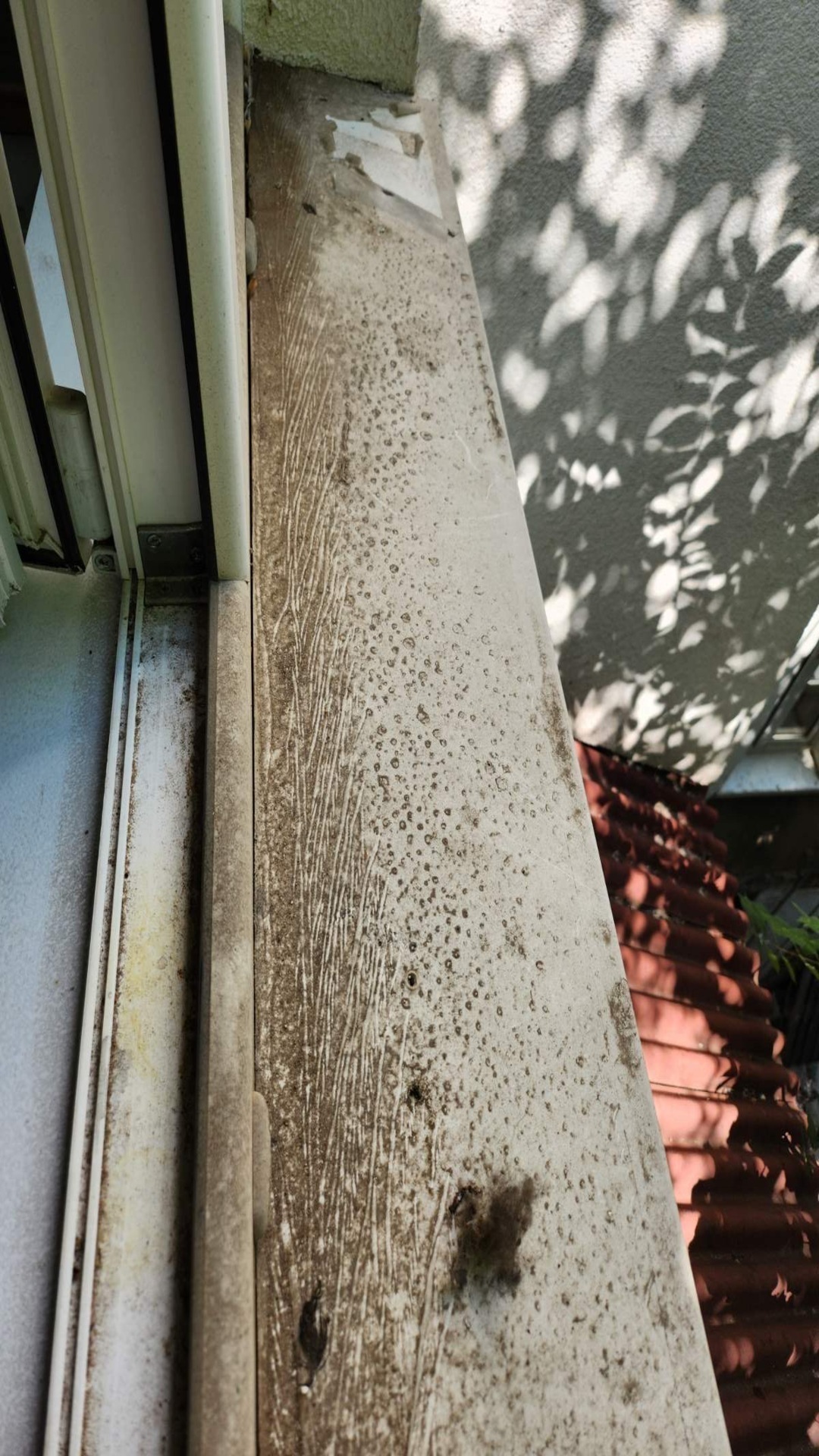 Before photo for Почистване на прозорци