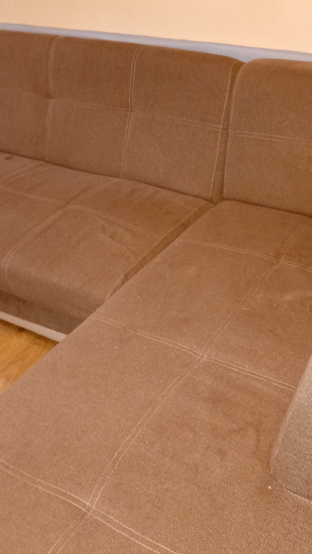 Before photo for Upholstery & Carpet Cleaning