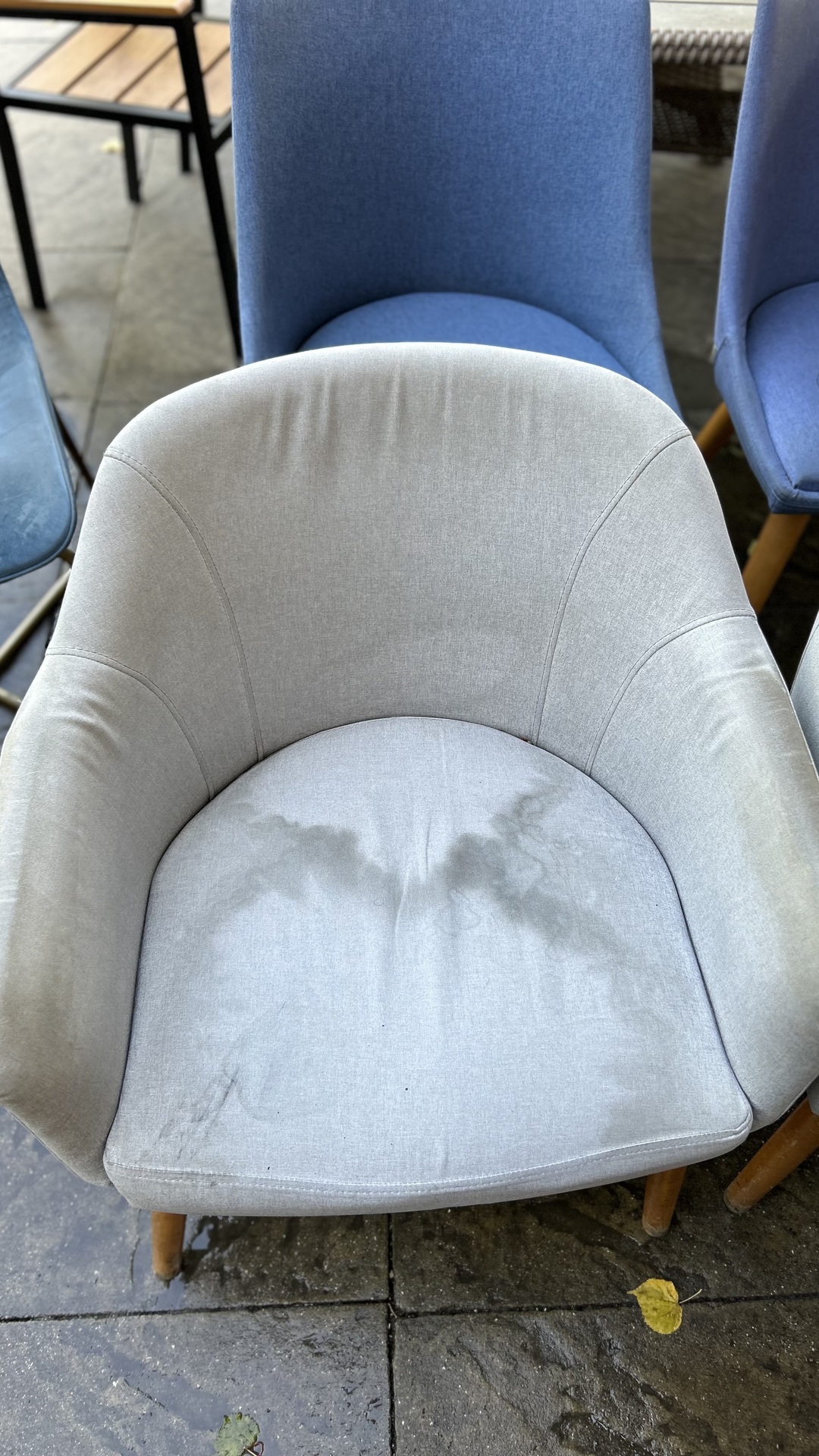 Before photo for Upholstery & Carpet Cleaning