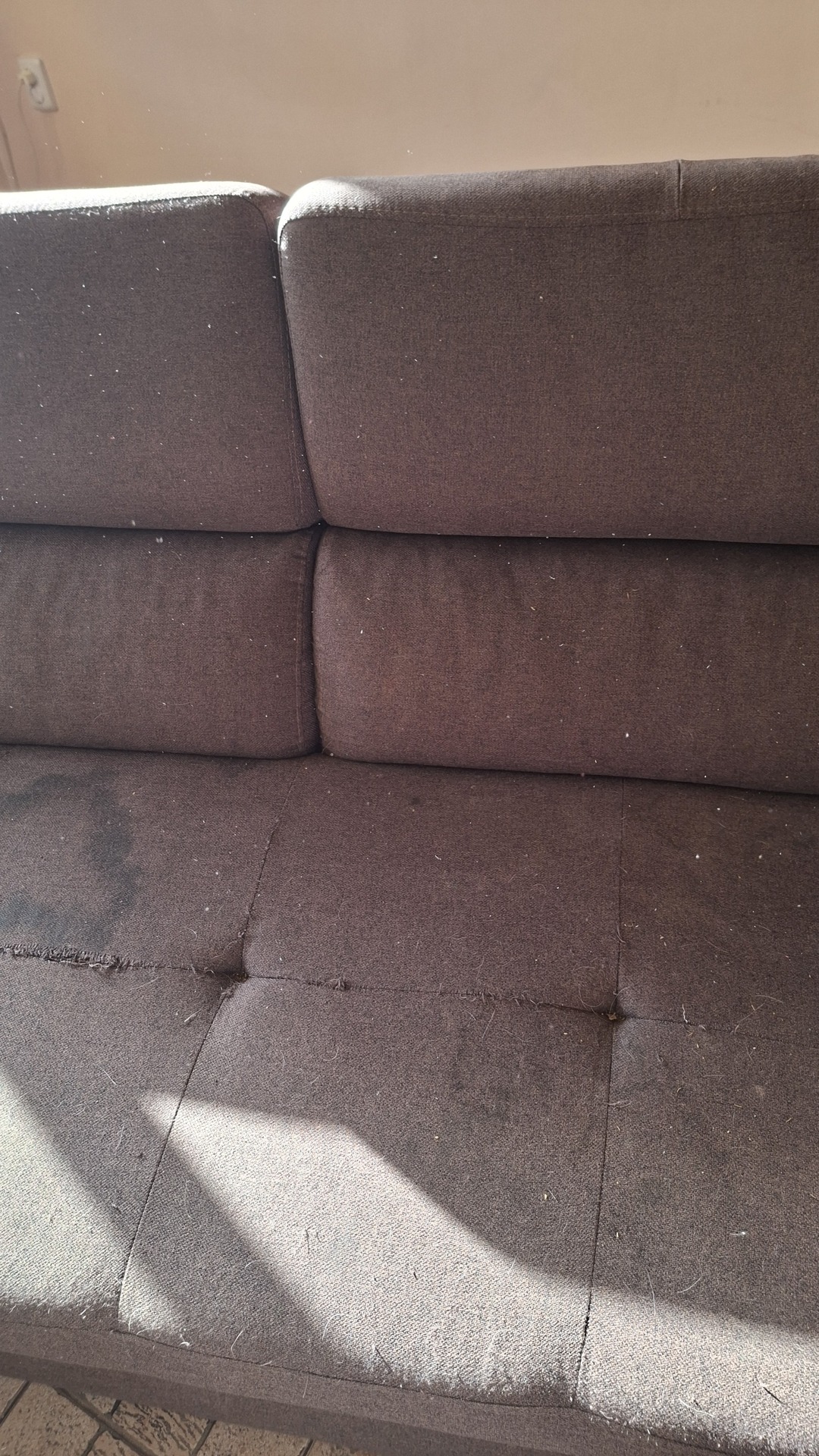 Before photo for Upholstery & Carpet Cleaning
