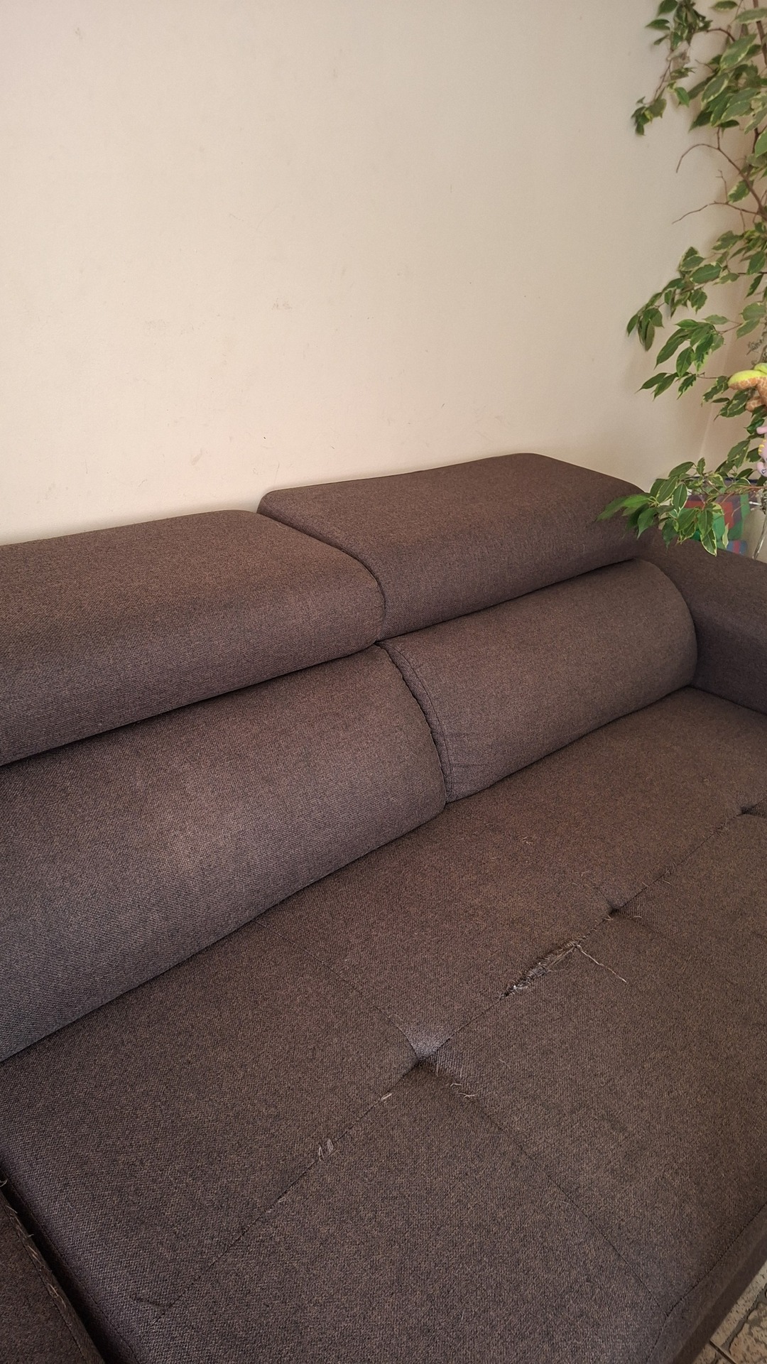 After photo for Upholstery & Carpet Cleaning