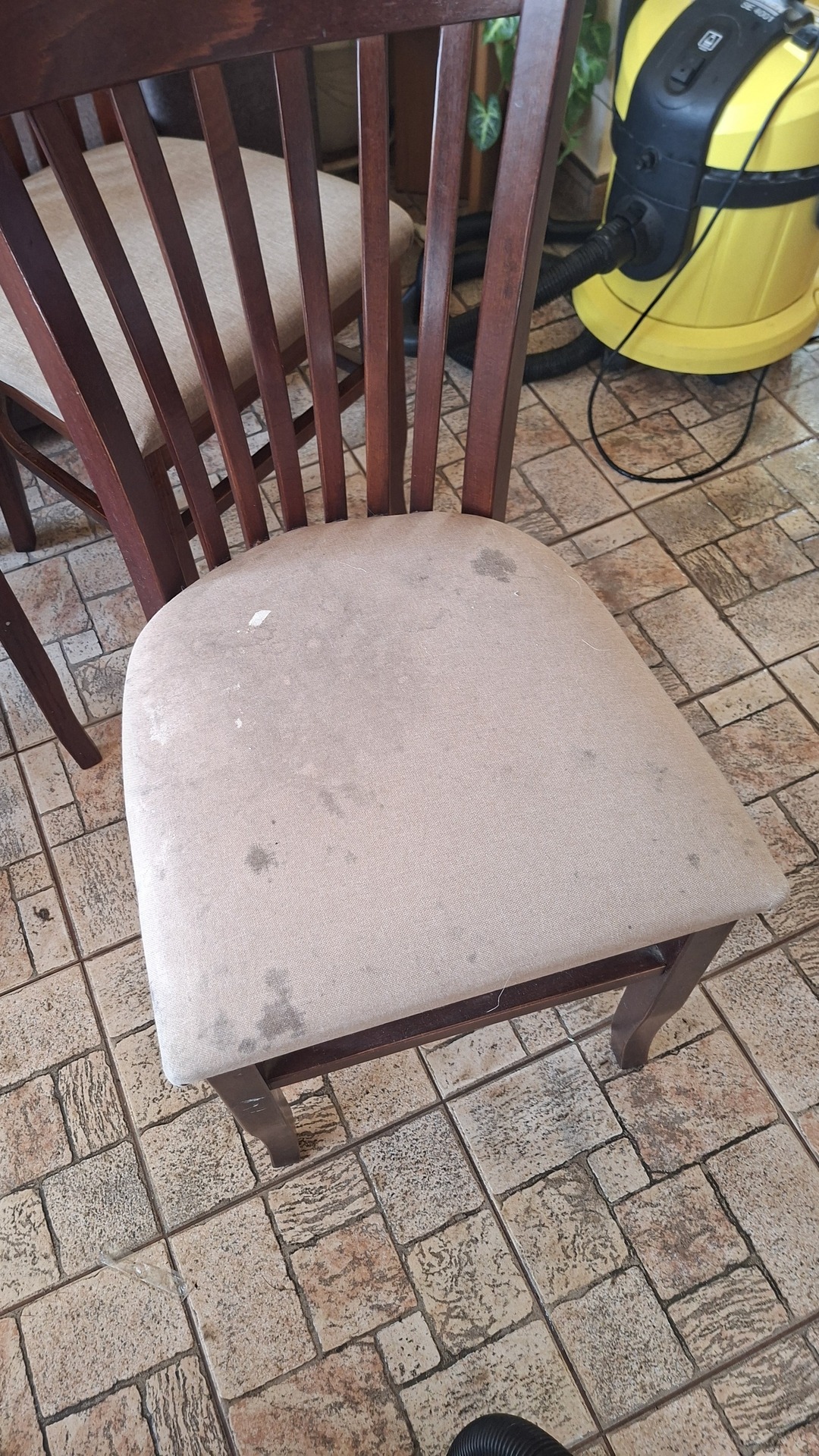 Before photo for Upholstery & Carpet Cleaning