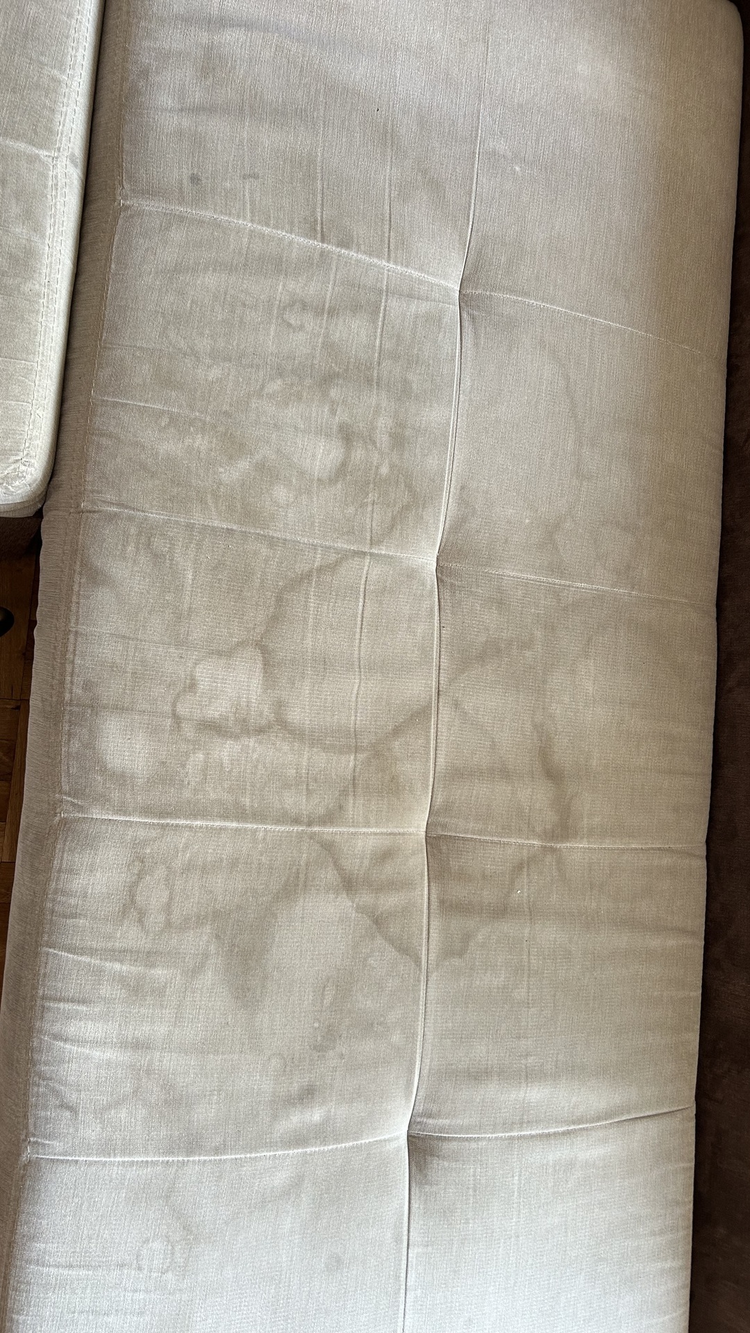 Before photo for Upholstery & Carpet Cleaning