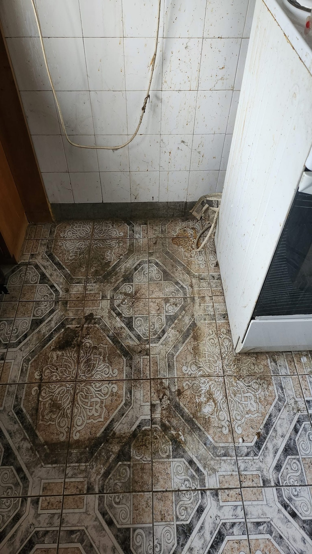 Before photo for Основно почистване