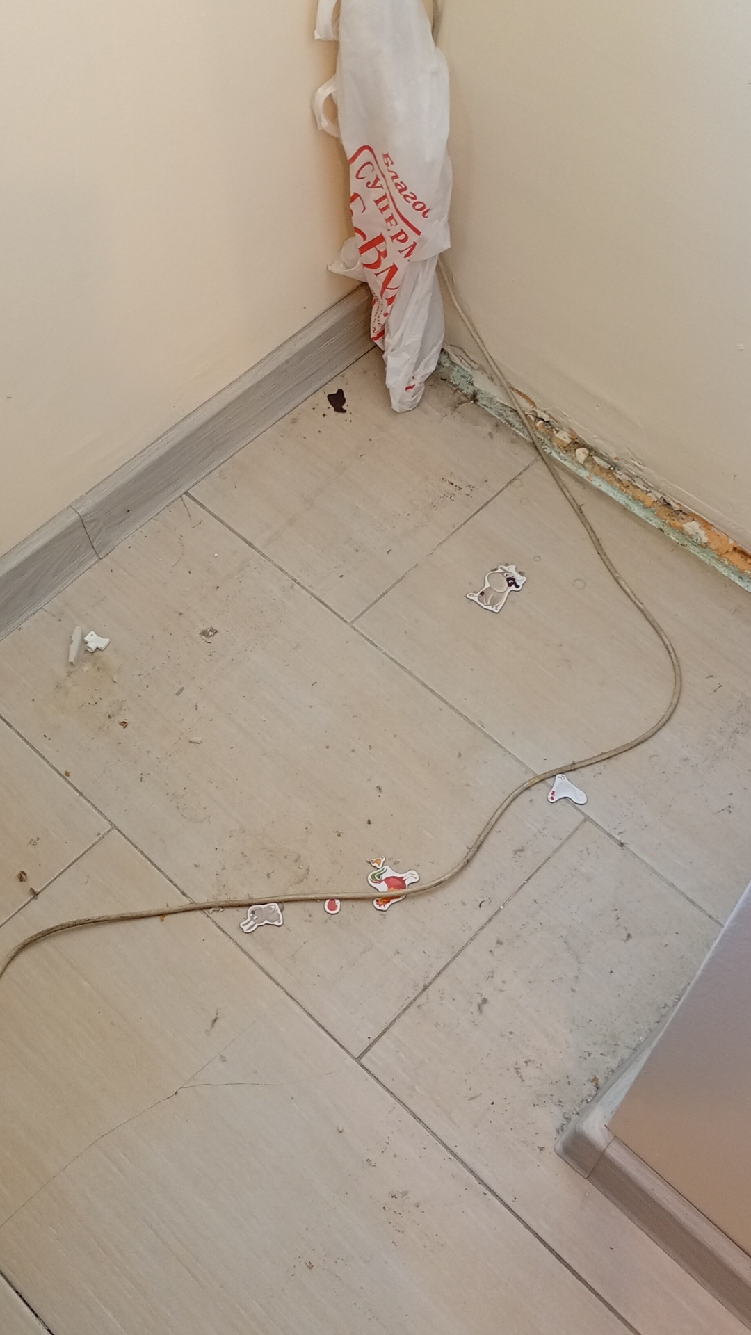 Before photo for Основно почистване