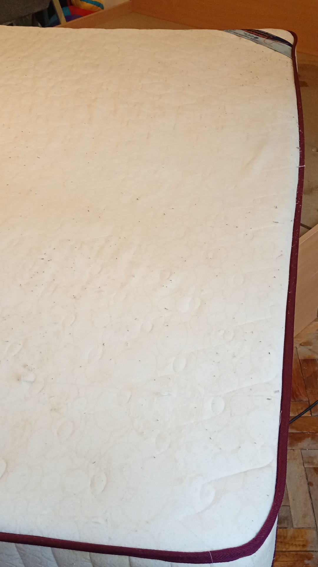 After photo for Пране на мека мебел и килими